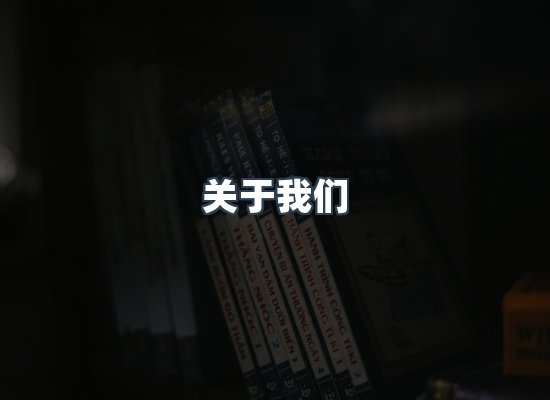 专业团队