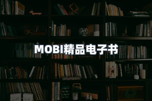 PDF电子书系列